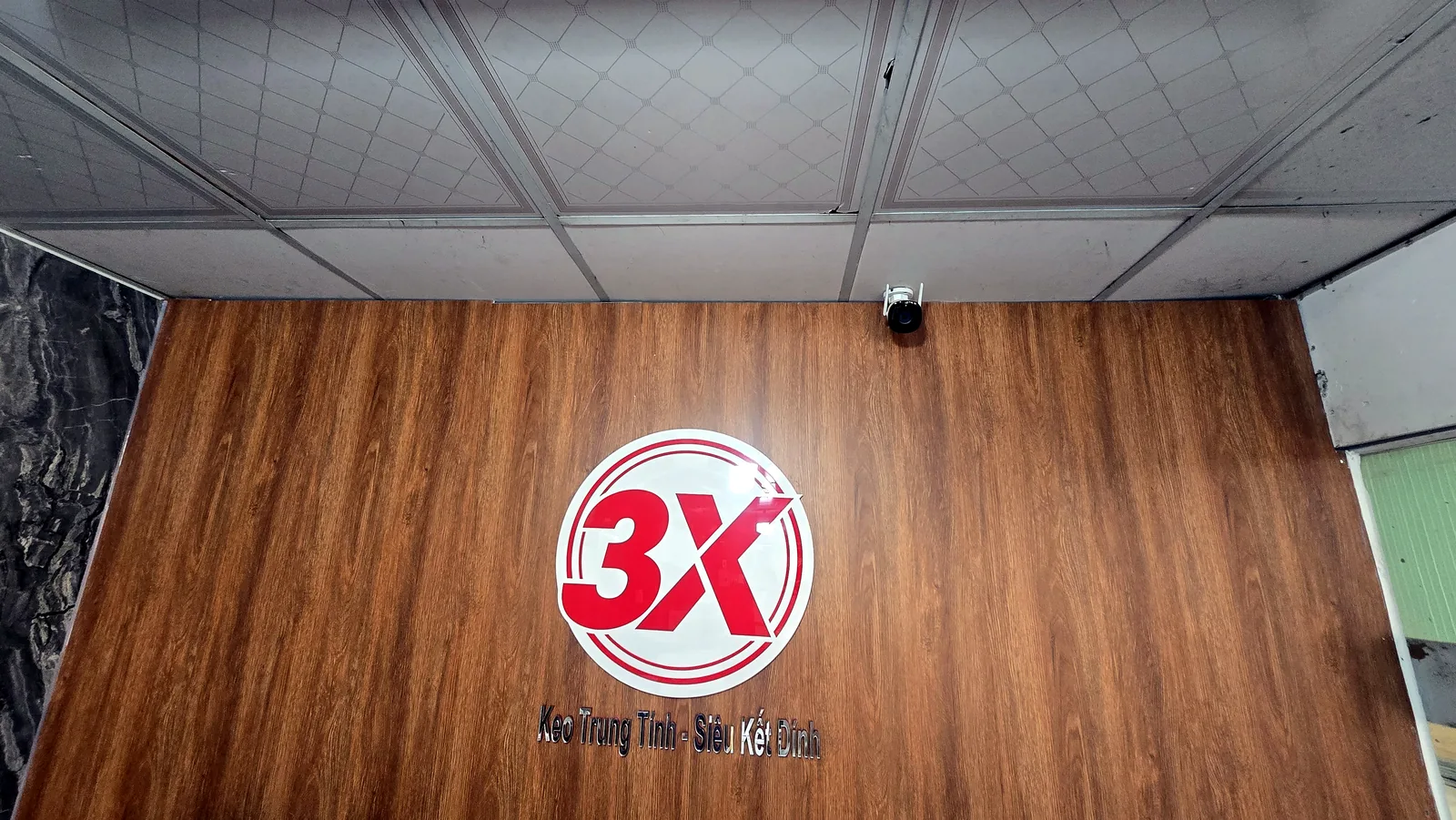 Logo 3X-BOND trên tường gỗ tại văn phòng công ty